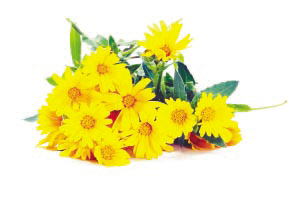 ky开元集团官网入口