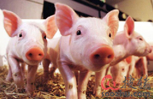 KY开元集团官网