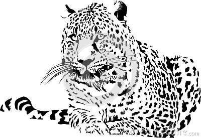 ky开元_辽宁省大连市教育局公布中等及职业中专招生计划(图1) ky开元集团官网入口