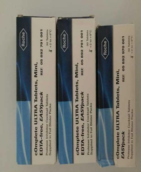 KY开元集团官网-重庆市职业教育学会组织学习《国家职业教育改革实施方案》座谈会顺利召开(图1) KY开元集团官网