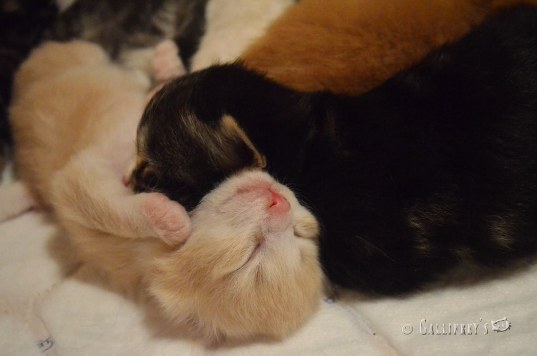 KY开元集团官网