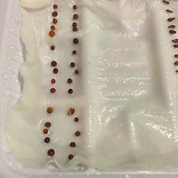 KY开元集团官网