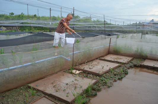 ky开元集团官网入口