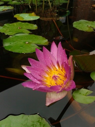 KY开元集团官网