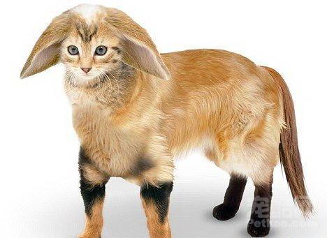 【ky开元集团官网入口】《X特遣队》登法国杂志封面 奇葩全阵容亮相(图2) ky开元集团官网入口