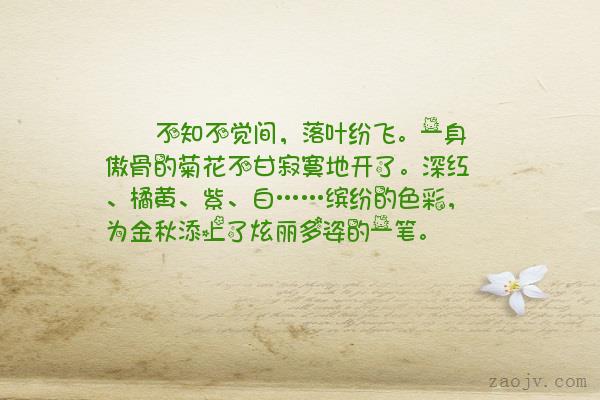 麦当娜砸20万整容庆生 小30岁男友相伴|ky开元(图1) KY开元集团官网